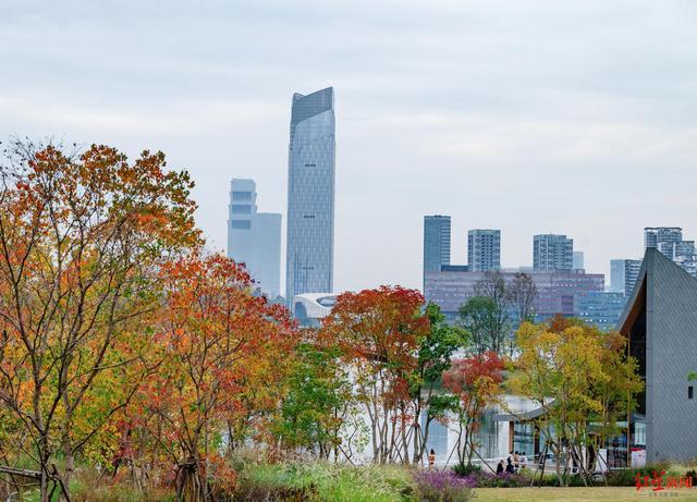 "成都天投地产开发工程一部部门副经理刘踊介绍说,财富大厦是