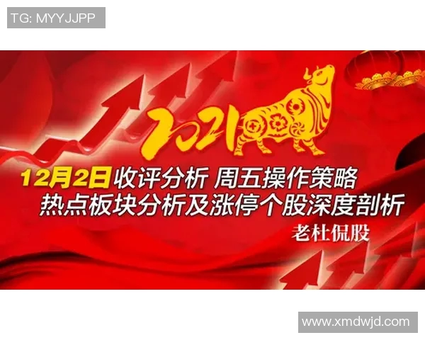 杭州乒乓球队控制策略解析与热点动态深度剖析