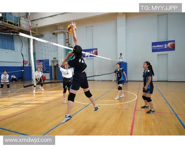 排球盛宴：深入了解西安排球队的实力与魅力